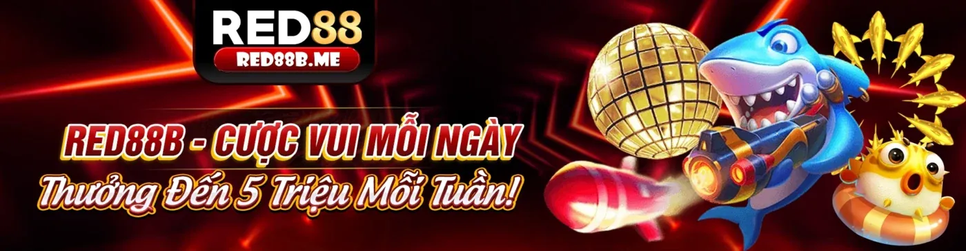 Hình ảnh minh họa chính sách cá cược có trách nhiệm